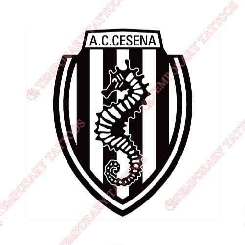 Cesena Customize Temporary Tattoos Stickers NO.8279